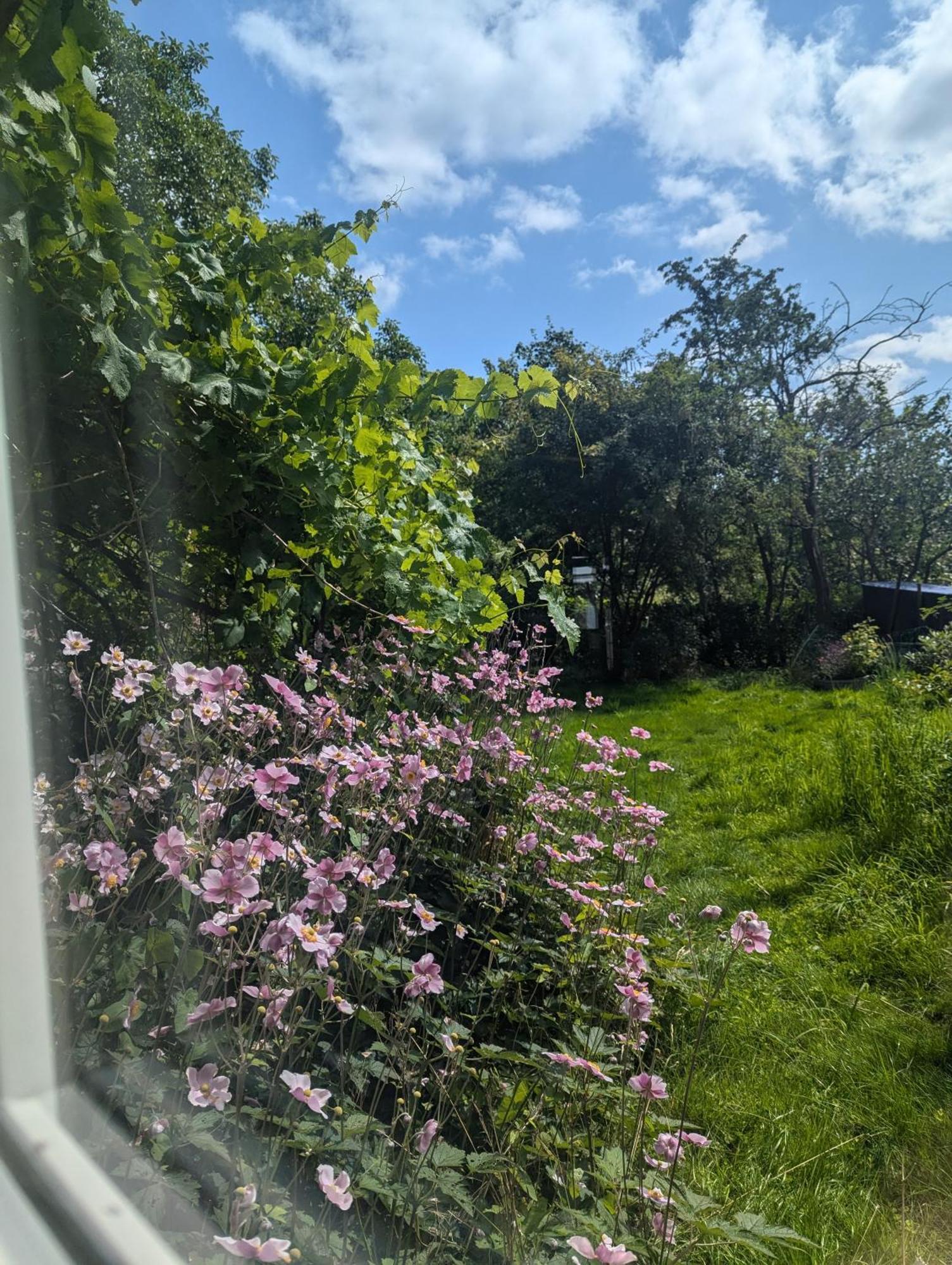 Lejlighed Ved Skov Græsted Exterior foto