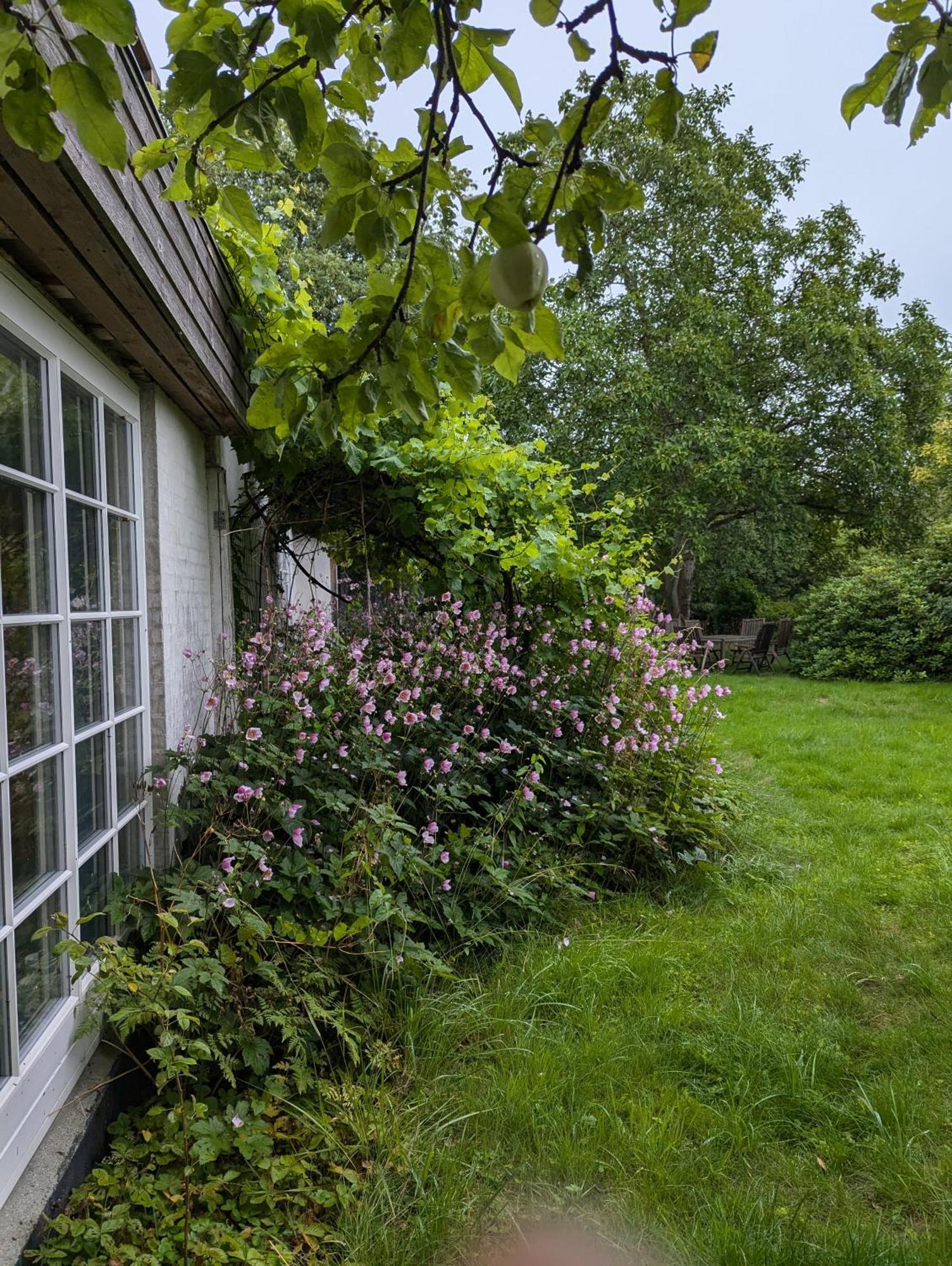 Lejlighed Ved Skov Græsted Exterior foto